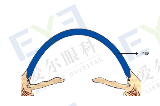 预防孩子近视