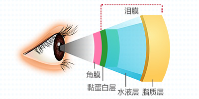 角膜眼表科