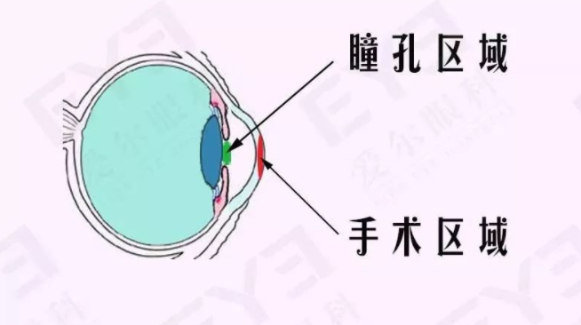 微信截图_20220424220101.png