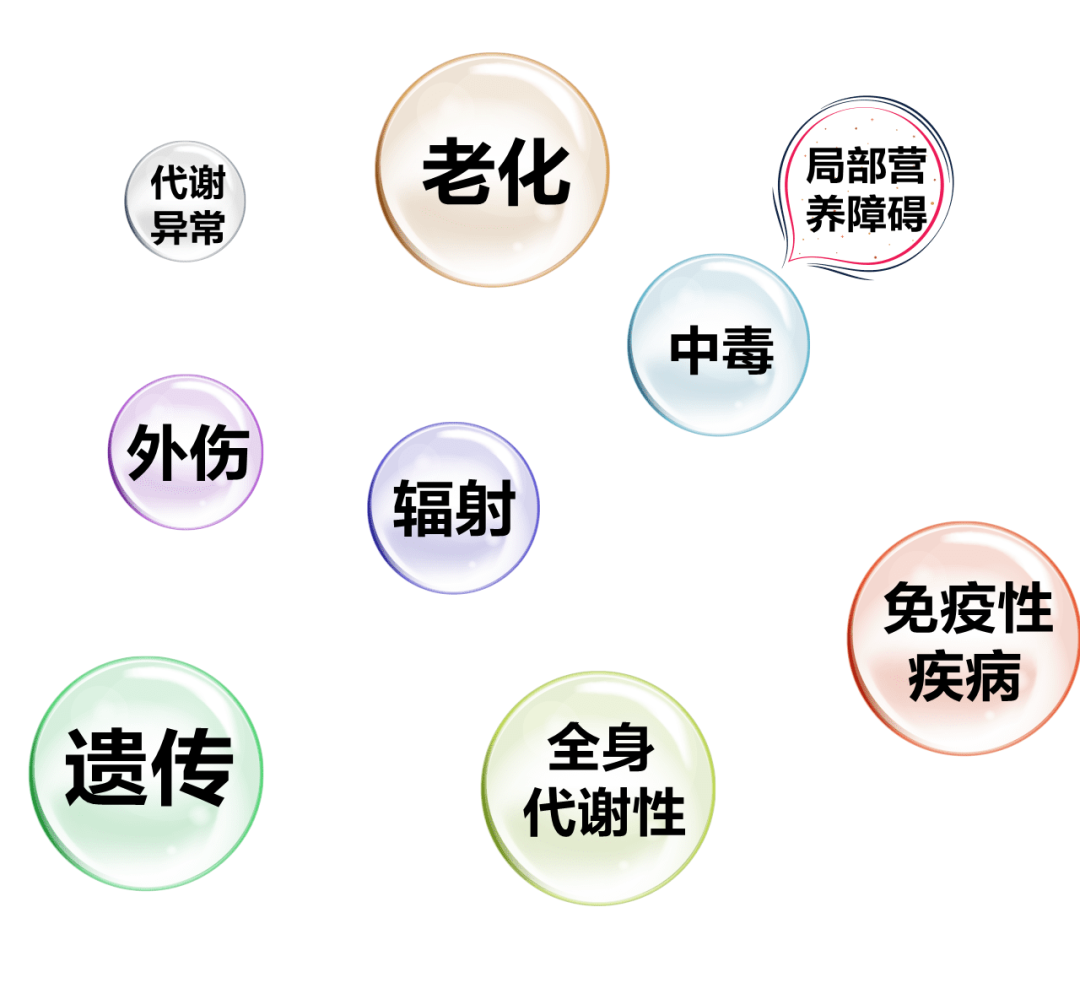 640 (1).png