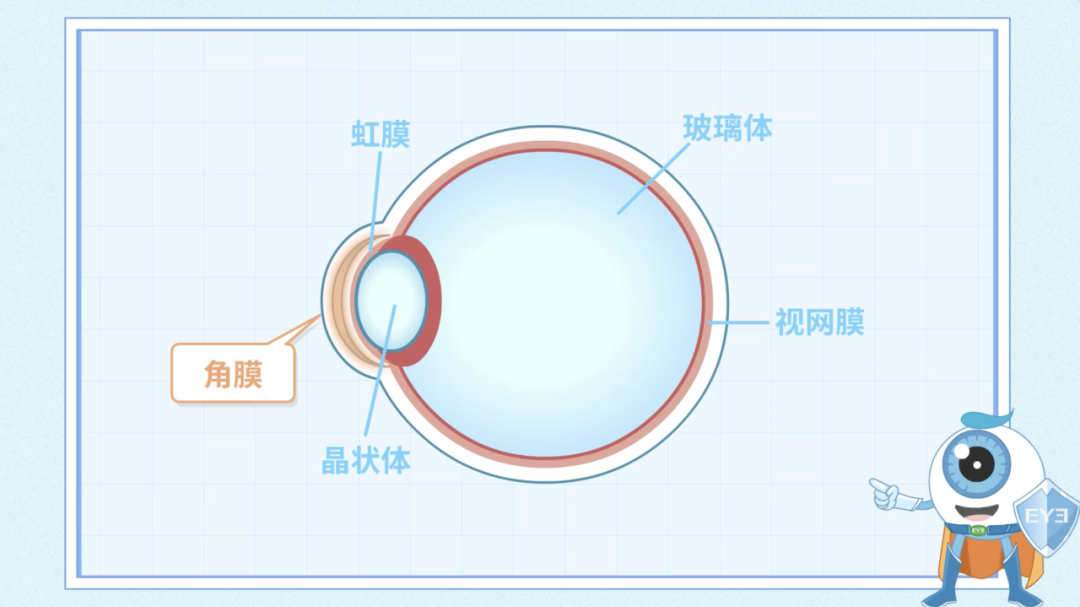 听说做完近视手术会得老花眼？
