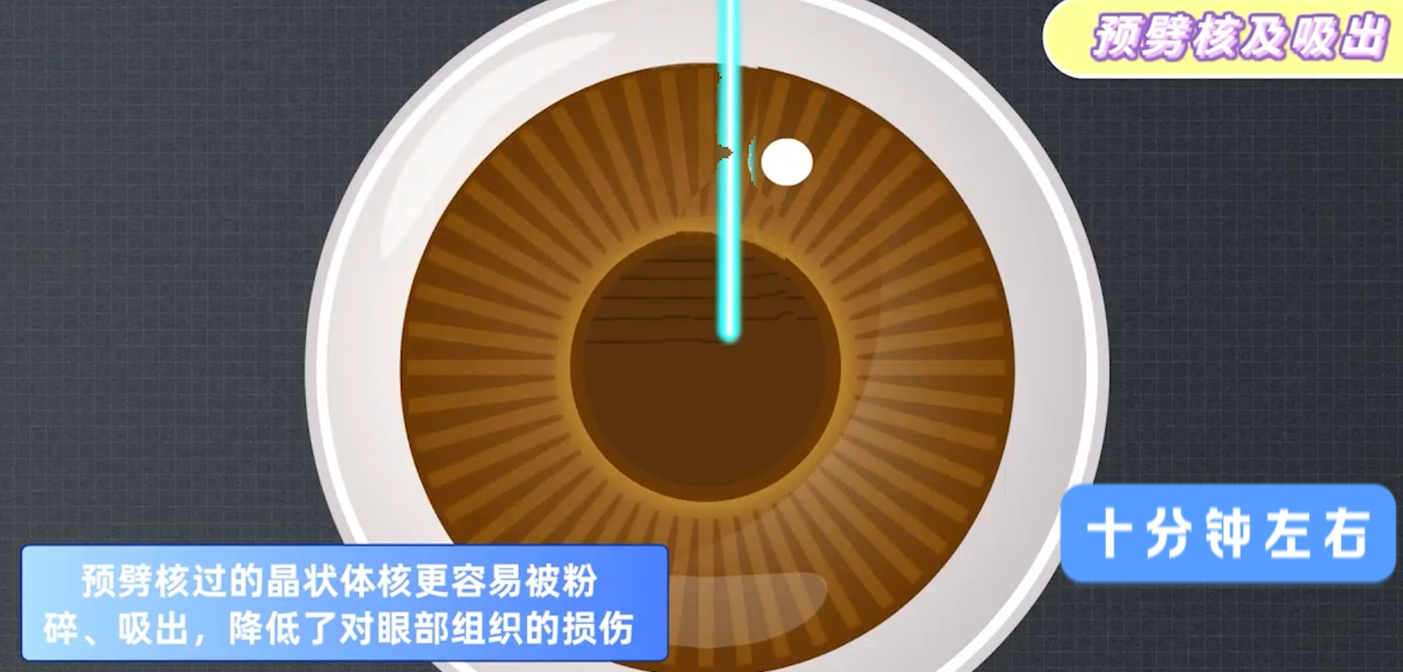 微信图片_2026-03-03_173752_402.png