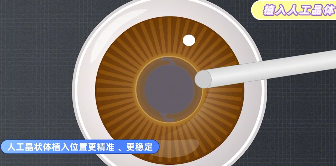 微信图片_2026-03-03_173755_460.png