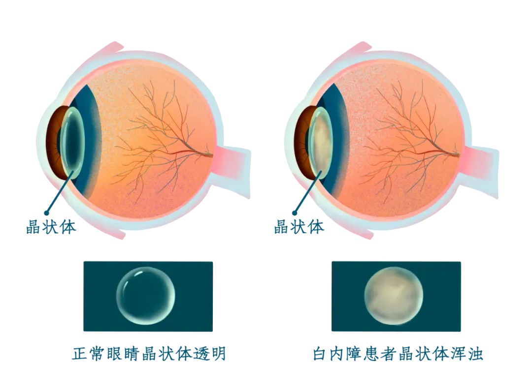 微信图片_2026-03-17_183431_138_看图王.jpg