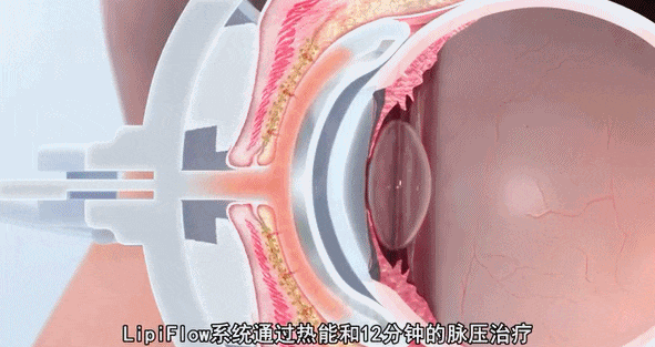 微信图片_2026-04-16_173109_446.jpg