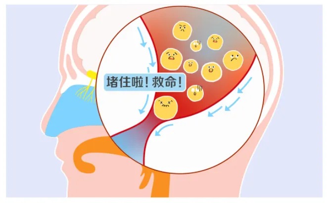 微信图片_2026-04-16_173705_022_看图王.jpg