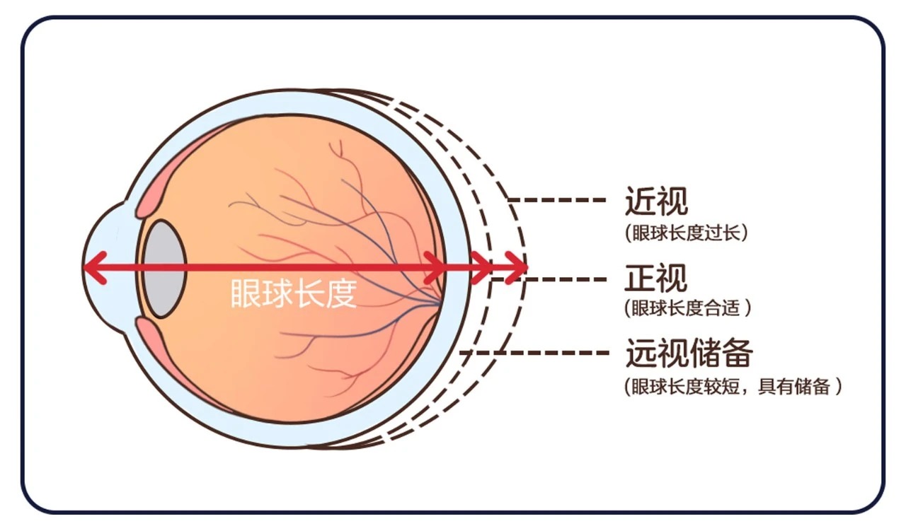 微信图片_2026-04-23_174242_011_看图王.jpg