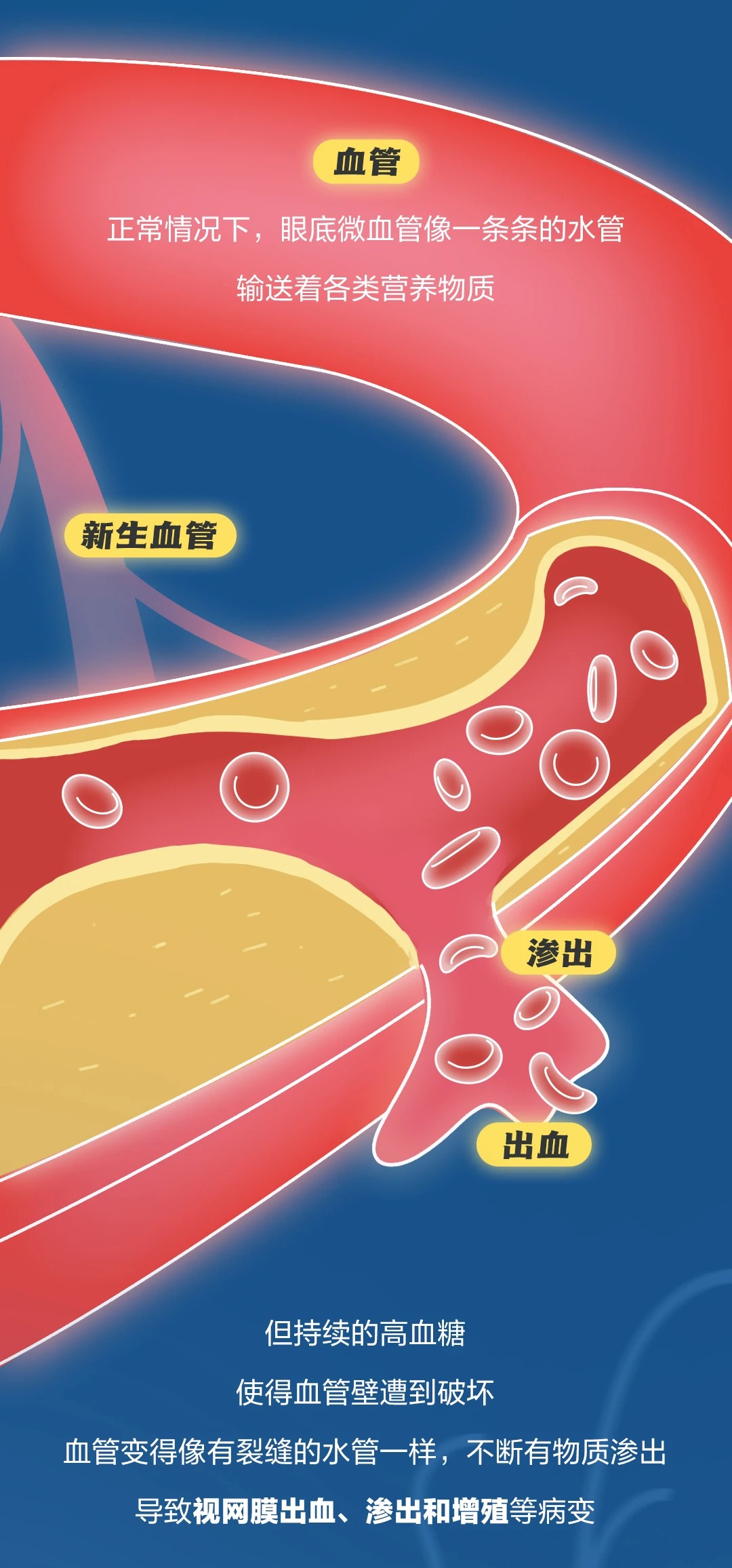 微信图片_2026-05-09_110415_487_看图王.jpg
