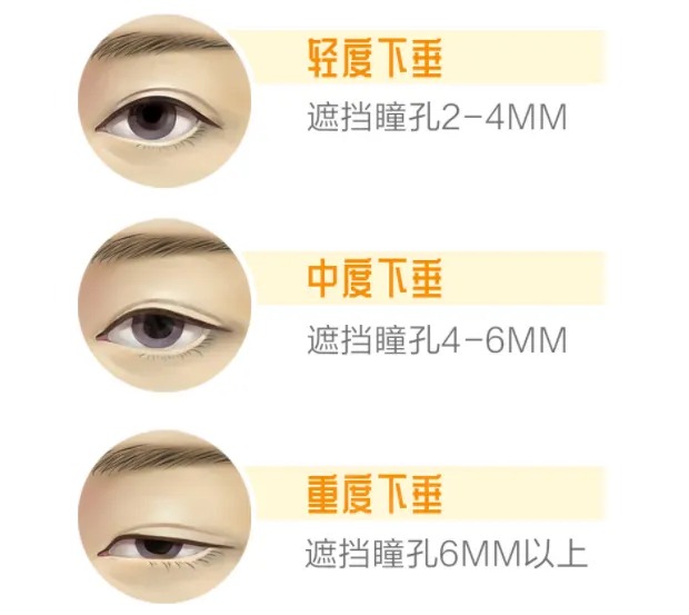 微信图片_2026-05-12_183533_382_看图王.jpg