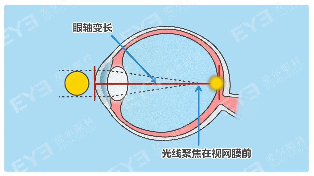 微信图片_2026-05-14_181923_464_看图王.jpg