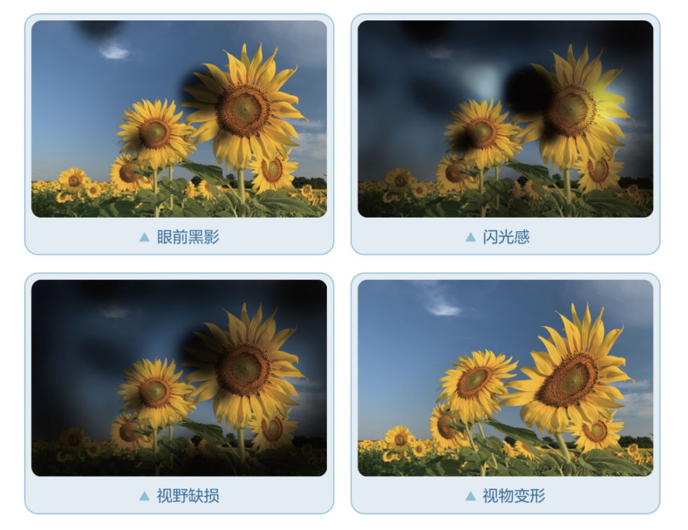 微信图片_2026-06-01_190341_831.png