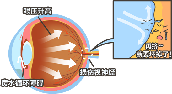 微信图片_2026-06-13_082324_272.png
