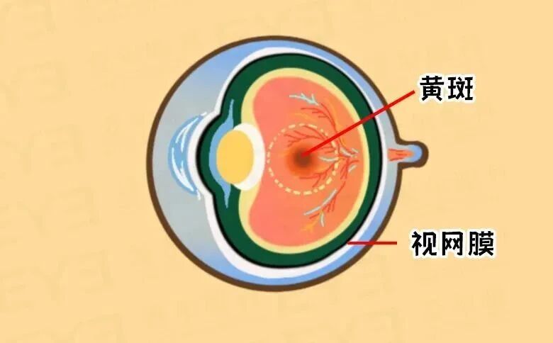 微信图片_2026-06-13_085913_724.jpg