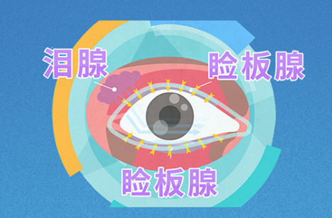 微信图片_2026-06-16_182312_850.png