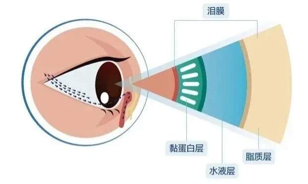 微信图片_2026-07-21_172843_876_看图王.jpg