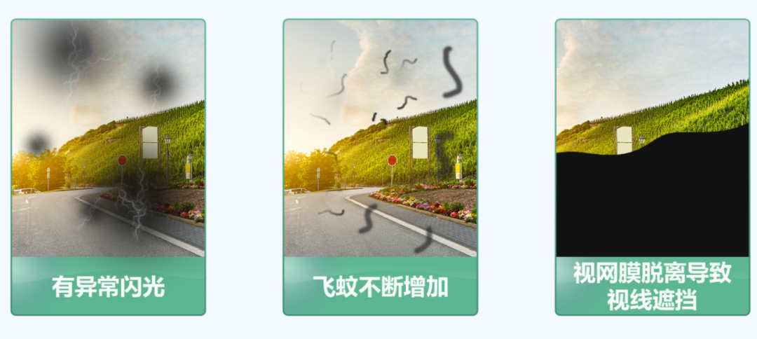 飞蚊症1.png
